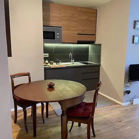 Raffinato Ed Accogliente Monolocale Di Montagna Apartamento